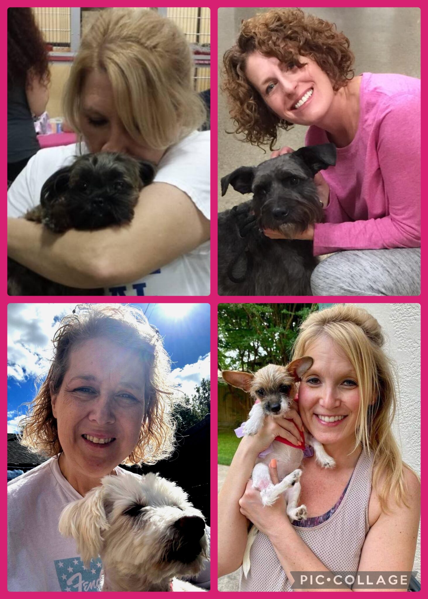 Mini Mutts ABOUT US – Mini Mutts Animal Rescue
